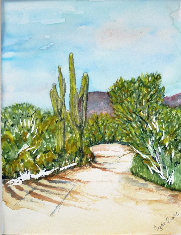 "Arizona Hike" by Angela Giraldi
