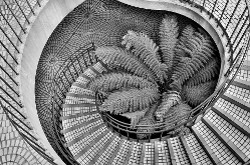 "Spirals" — Limited Edition photograph available in different sizes on fine art paper or photographic paper. Spiral staircase from the Embarcadero Center in San Francisco.