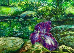"Iris", oil on canvas, 9" x 12", 2016