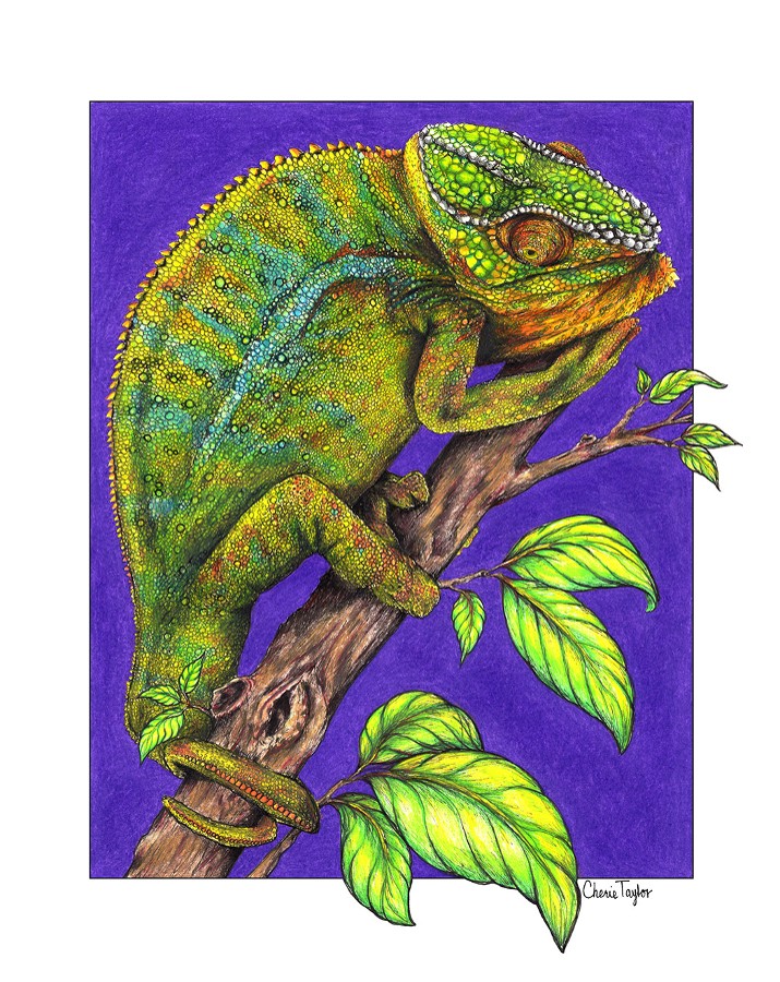 "Colorful Chameleon"  by Cherie Taylor