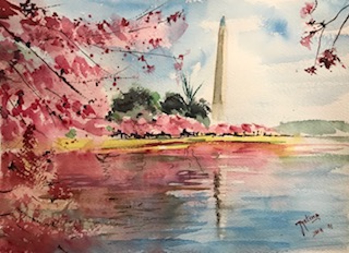 Cherry Blossoms, DC, 11" x 14"