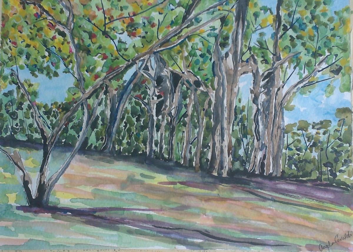 "Trees at Firemen's Field" by Angela Giraldi