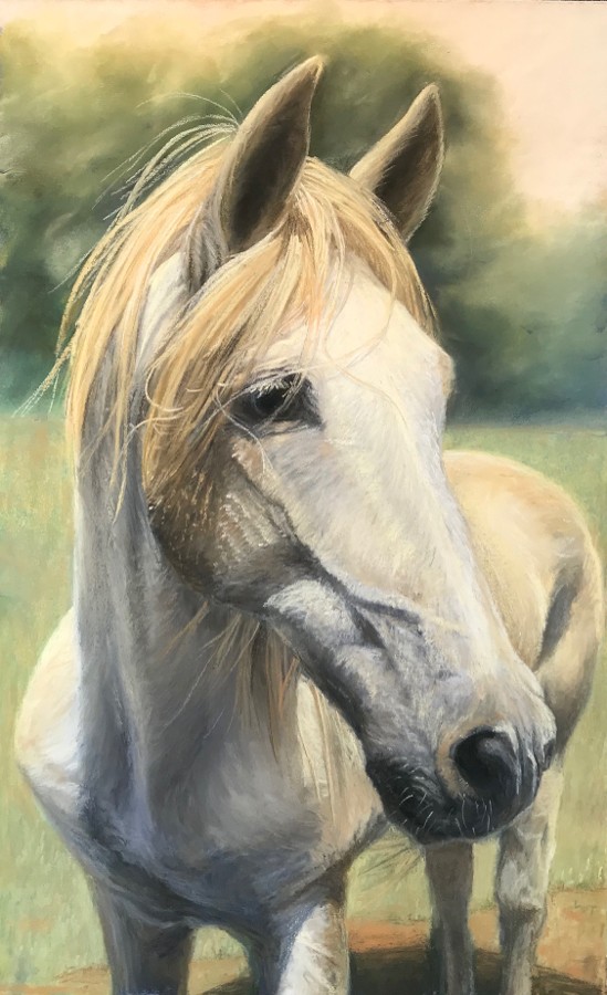 "White Stallion" by Lori Simmerman Goll